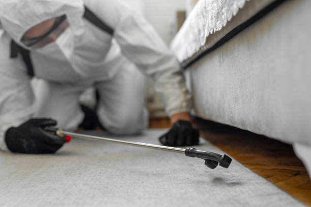 Professional Bed Bug Control technician working in Kodiak, AK