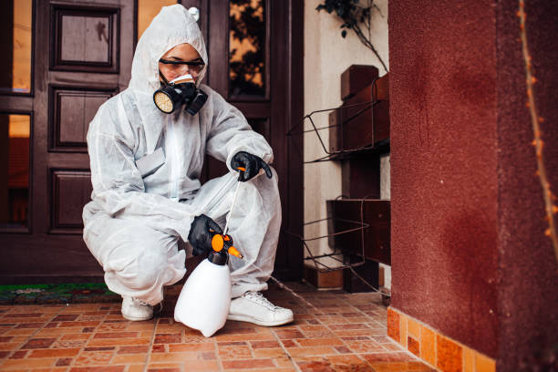 Reliable Bed Bug Control contractor in Kodiak, AK by Nex Pest Control