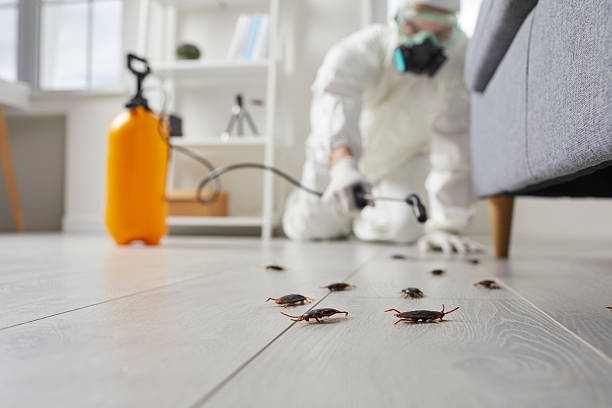Trusted Termite Control service in Kodiak, AK - Nex Pest Control