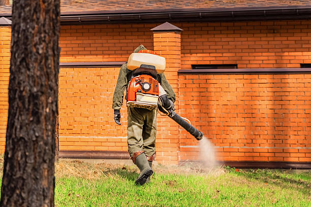 Trusted Cockroach Control service in Kodiak, AK - Nex Pest Control